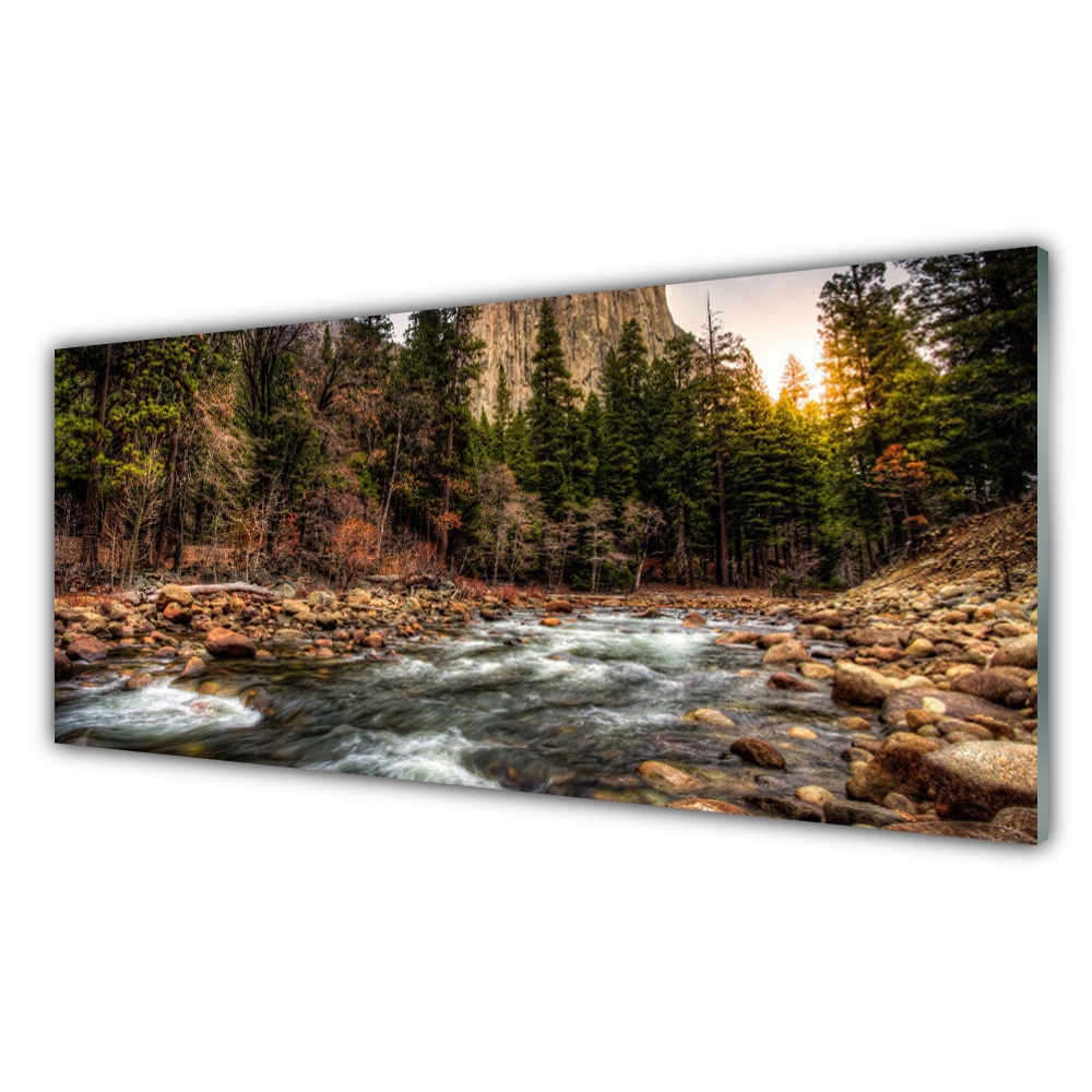 

Fotoobraz akryl 125x50 cm Las Jezioro Natura Woda