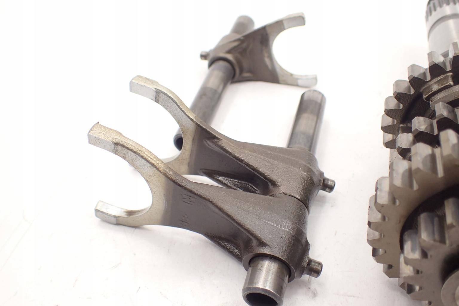 F257cbc84c199aae8809886709cb