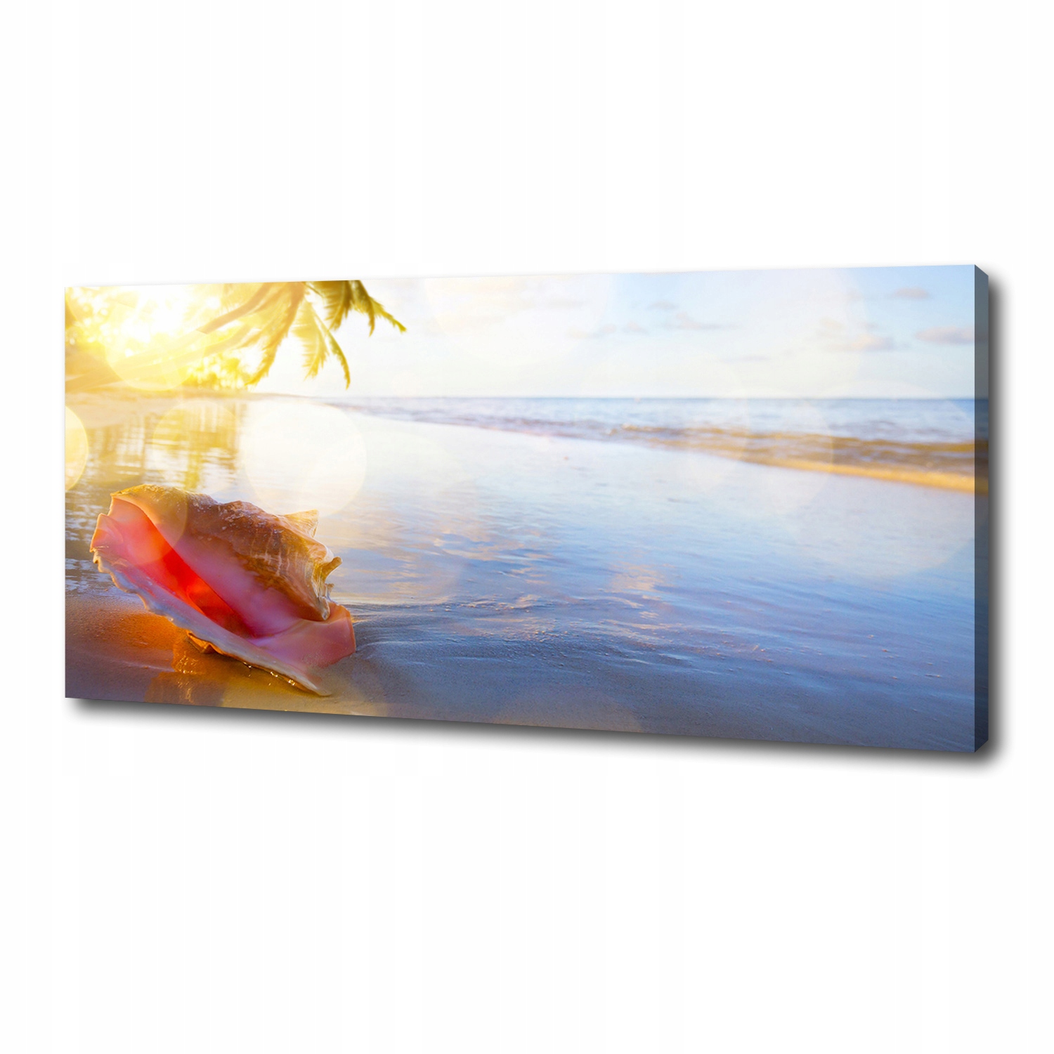 

Foto obraz na płótnie Muszla na plaży 125x50 cm