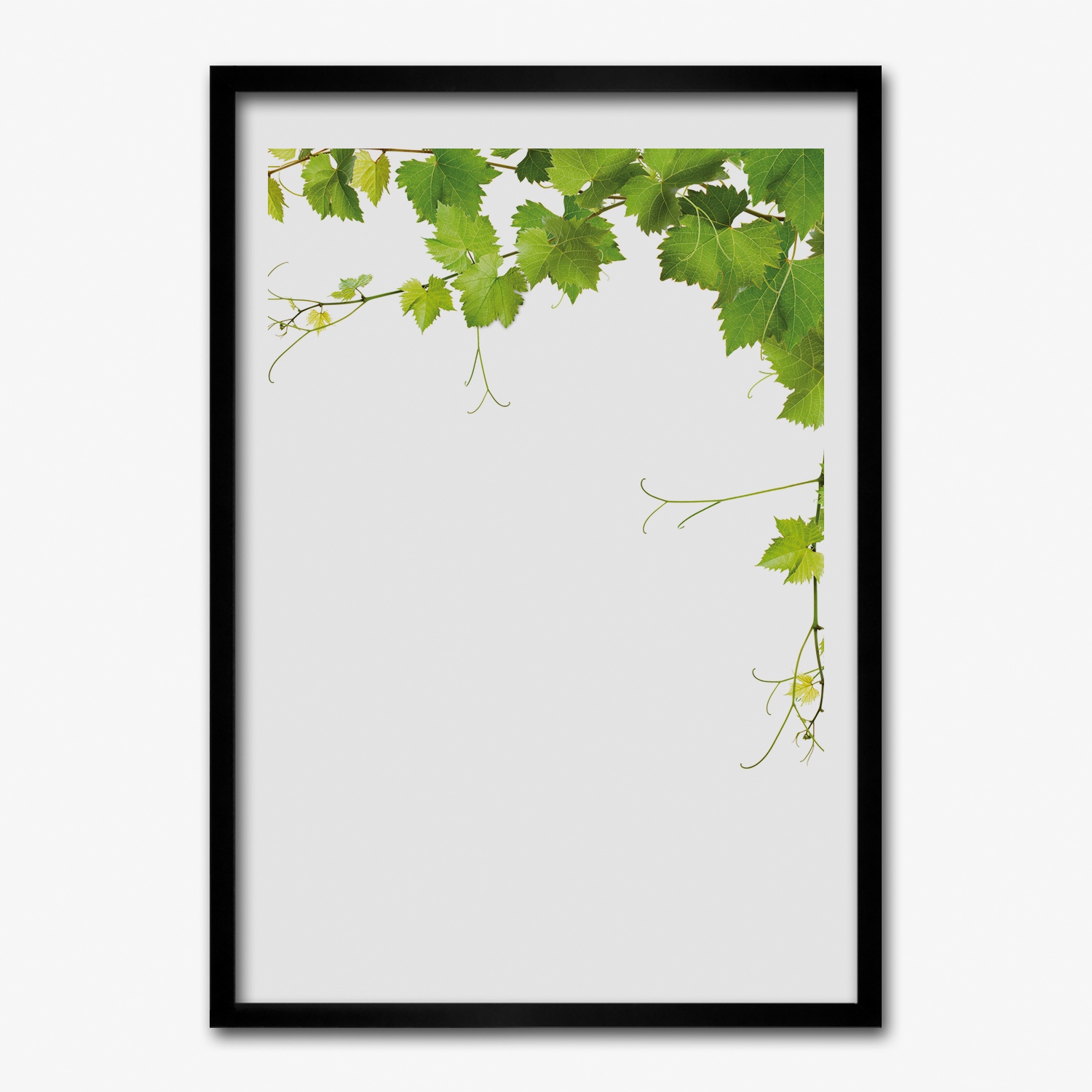 Obraz v rámu na zeď Listy popínavé víno 50x70