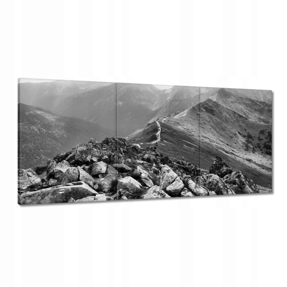 Obrazy 210x100 Tatry Poľské hory Pohľad