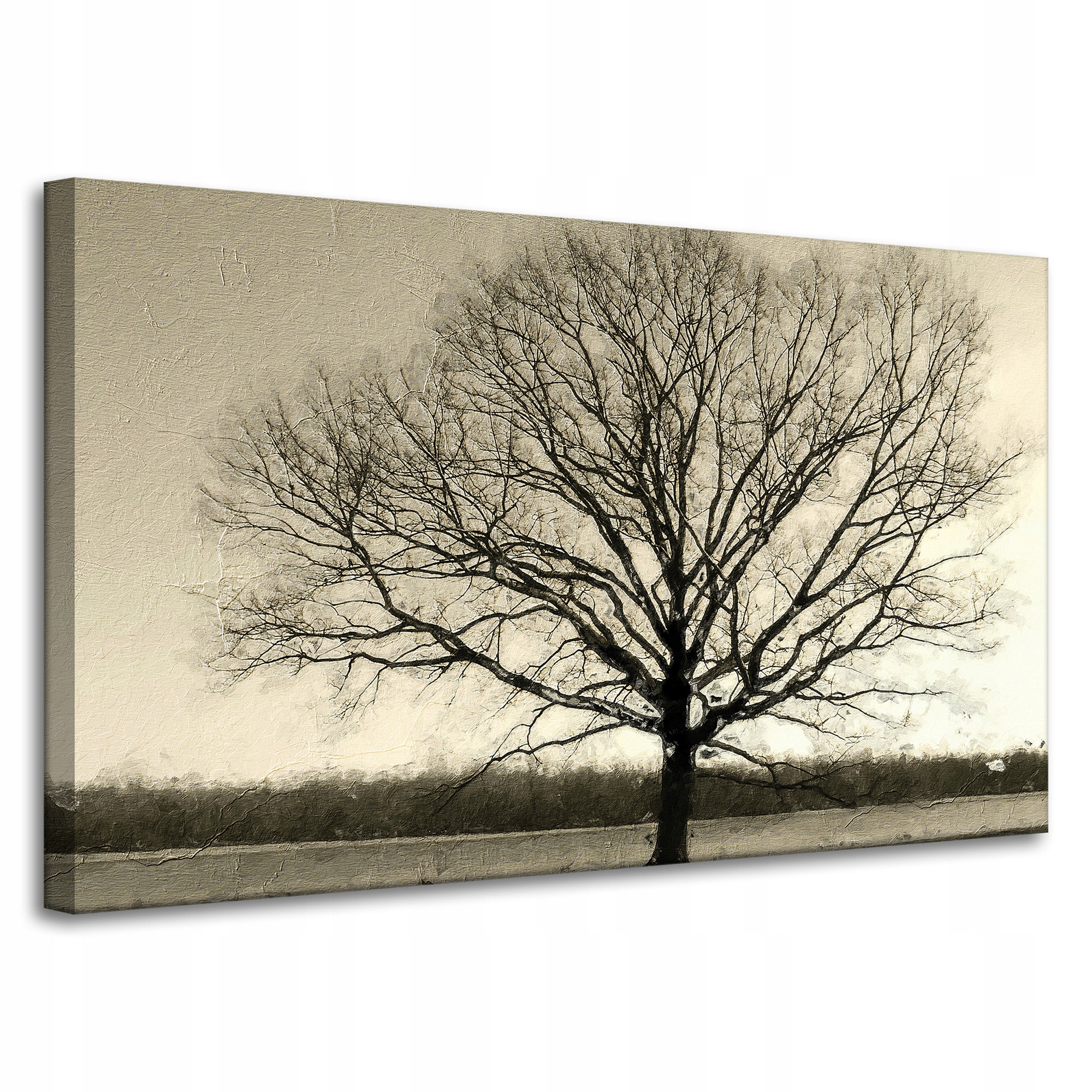 Obraz na plátně Ponuré Černé Dřevo Smutek 100x60 cm Ideální jako dárek