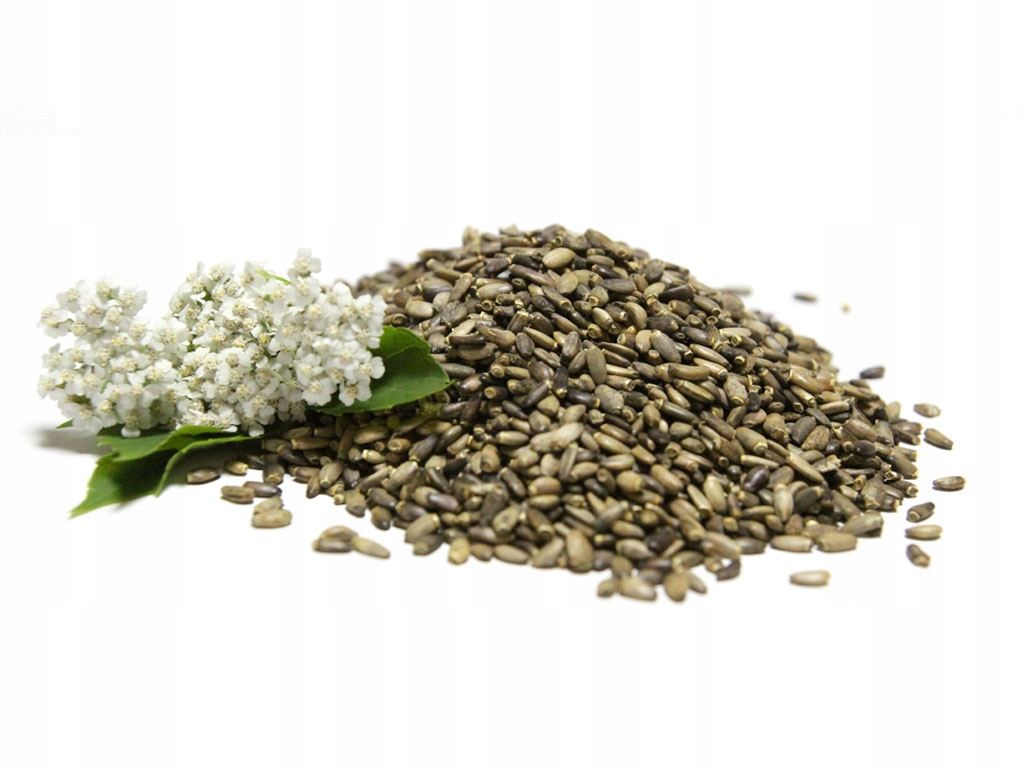 VIVIO OSTROPEST PLAMISTY 1kg WĄTROBA SYLIMARYNA — 3