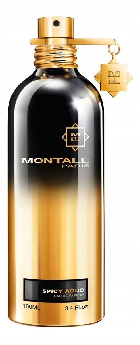 Montale Spicy Aoud parfémovaná voda sprej 100 ml