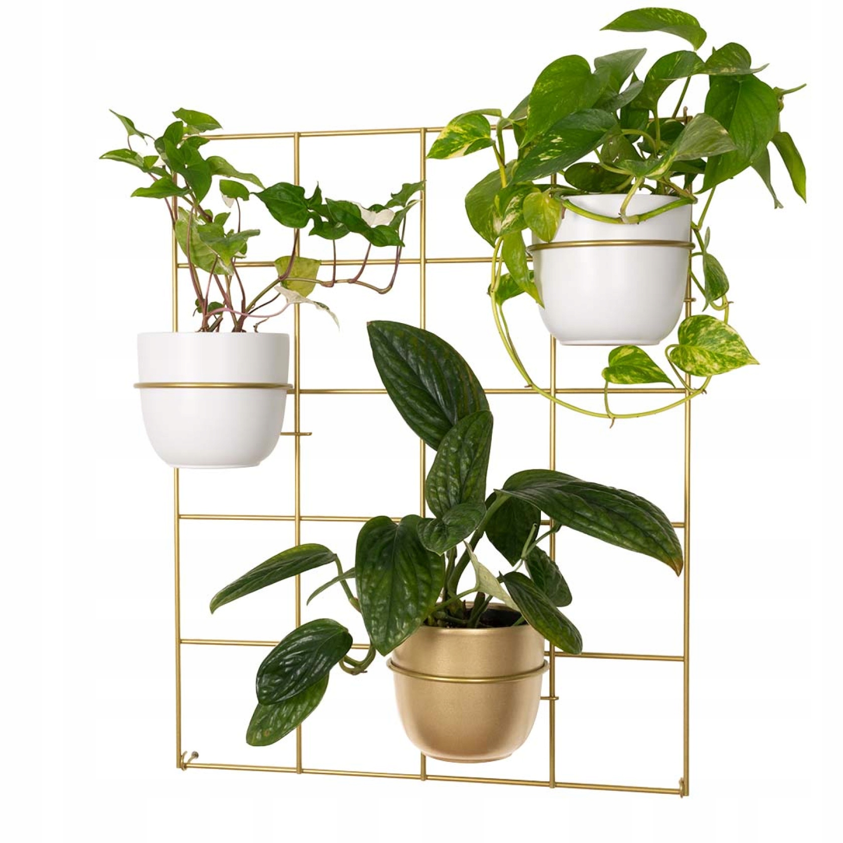 Držiak Na Kvetináč Hedera 3-karátový a 3 obrúčky na zavesenie na stenu zlaté Poľský Výrobok
