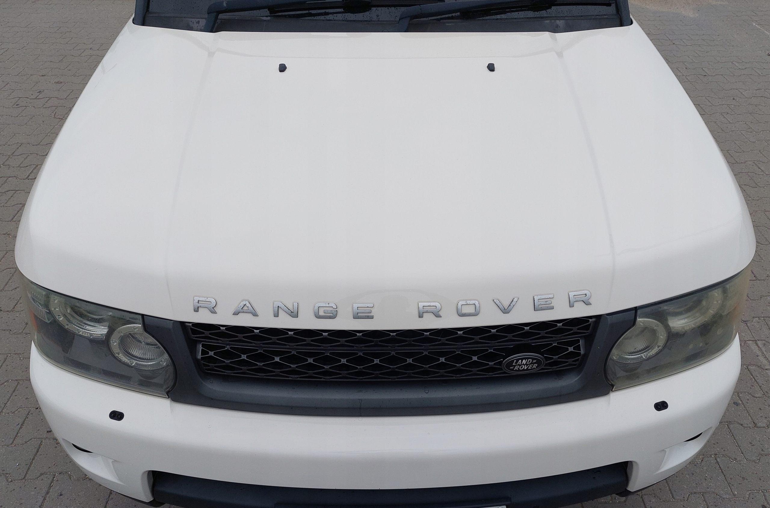 cofano completa Cerniere RANGE ROVER III SPORT L320 909 ALASKA WHITE