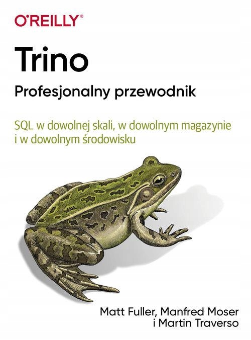 TRINO PROFESJONALNY PRZEWODNIK