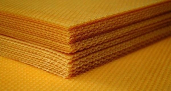 

Węza pszczela Gruba Ostrowskiej 2,5kg