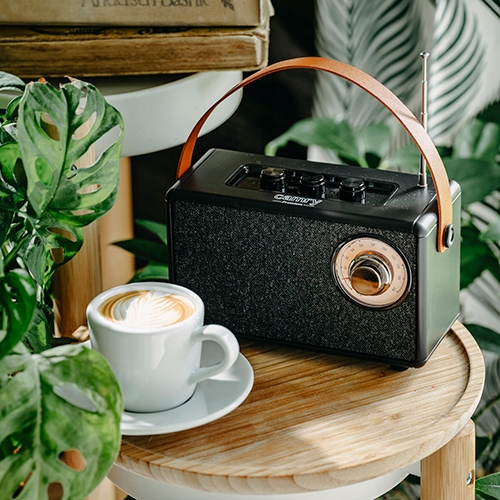 CR 1902 Black Radio FM Bluetooth 5.1 USB-C TWS AUX SD MP3