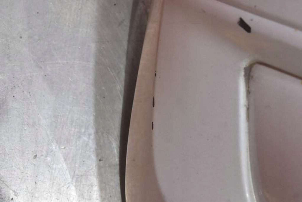 bumper front front BIALY DACIA SANDERO 2 II 12-20