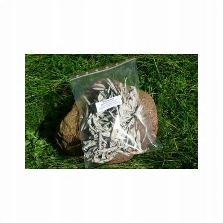 

Biała szałwia - susz - opakowanie 50 gram