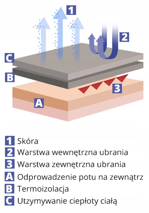 KOMPLET termoaktywny BIELIZNA termiczna ZESTAW na zimę + CZAPKA sportowa 3X Kod producenta KOMPLET TERMICZNY SPODNIE PODKOSZULKA CZAPKA