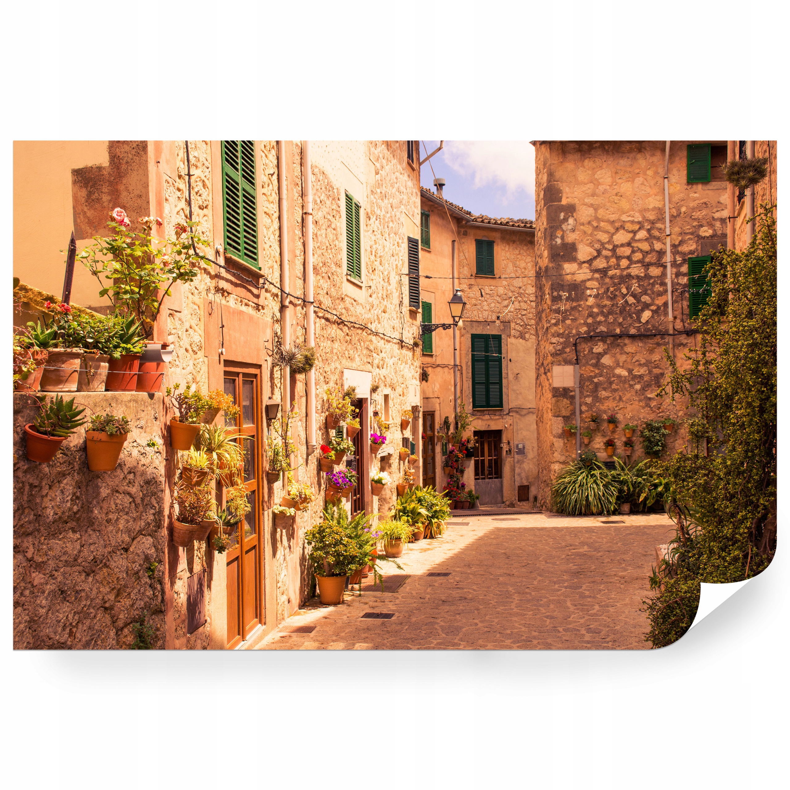 Fototapeta samolepicí Květiny Na Italských Uličkách 520 x 318 cm
