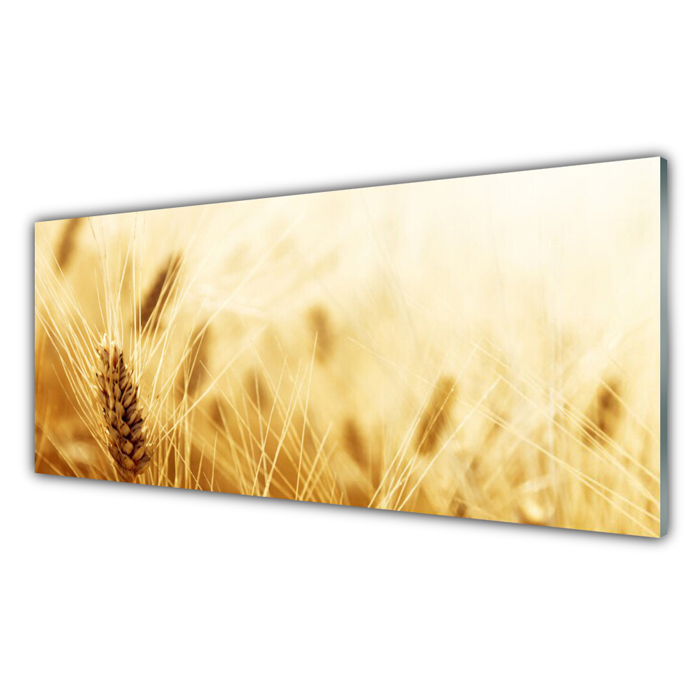

Fotoobraz na ścianę 125x50 Pszenica Roślina Natura