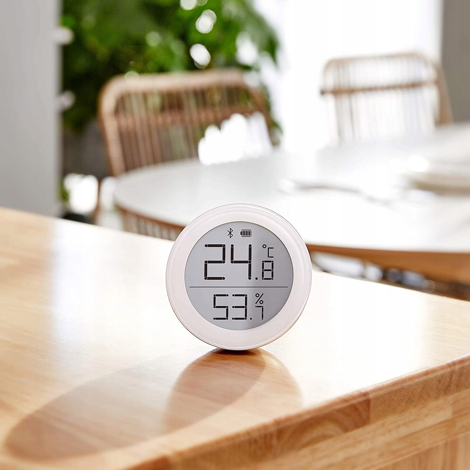 Qingping Cyfrowy termometr Bluetooth Model TEMP