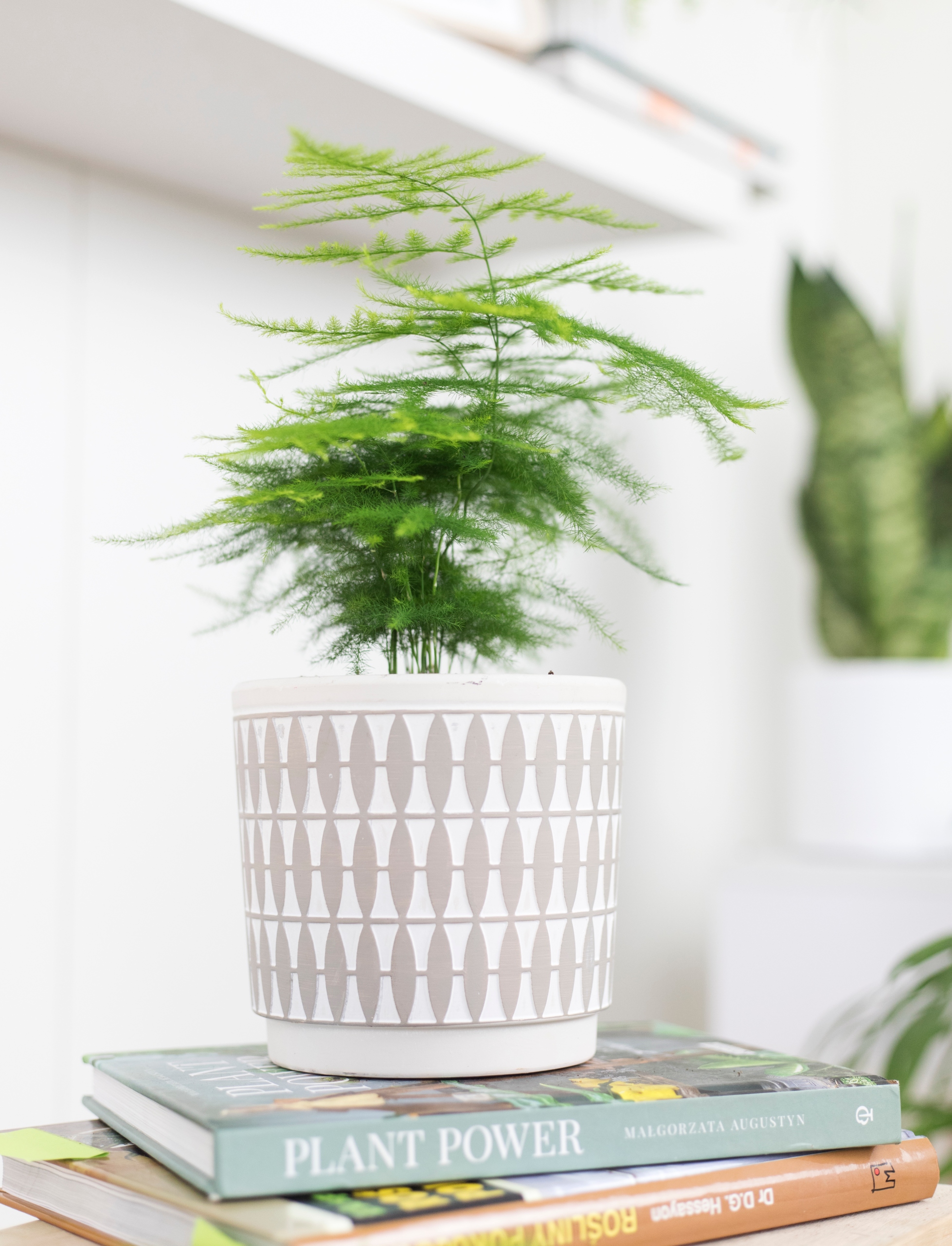 Osłonka ALMOND Ø12cm ceramiczna doniczka Marka B&C