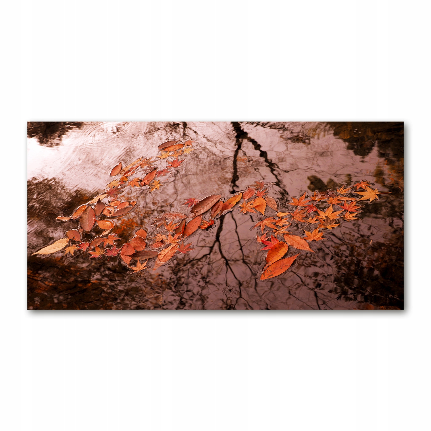 

Foto obraz szkło akryl Liście na wodzie 120X60 cm