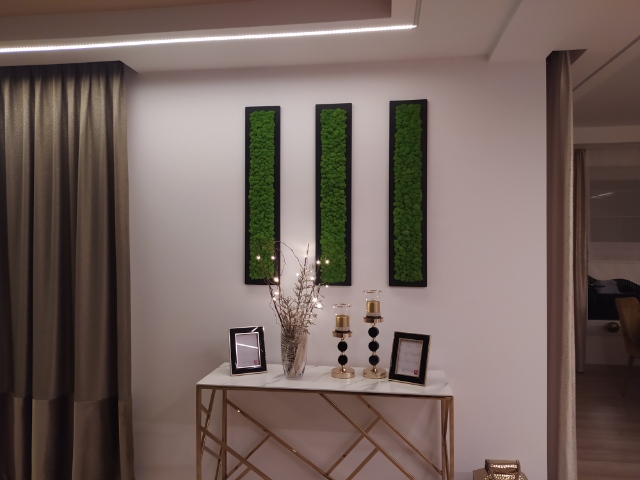 Mech Chrobotek NATURALNY Obraz z MCHU 90 x 20 cm Wysokość produktu 90 cm