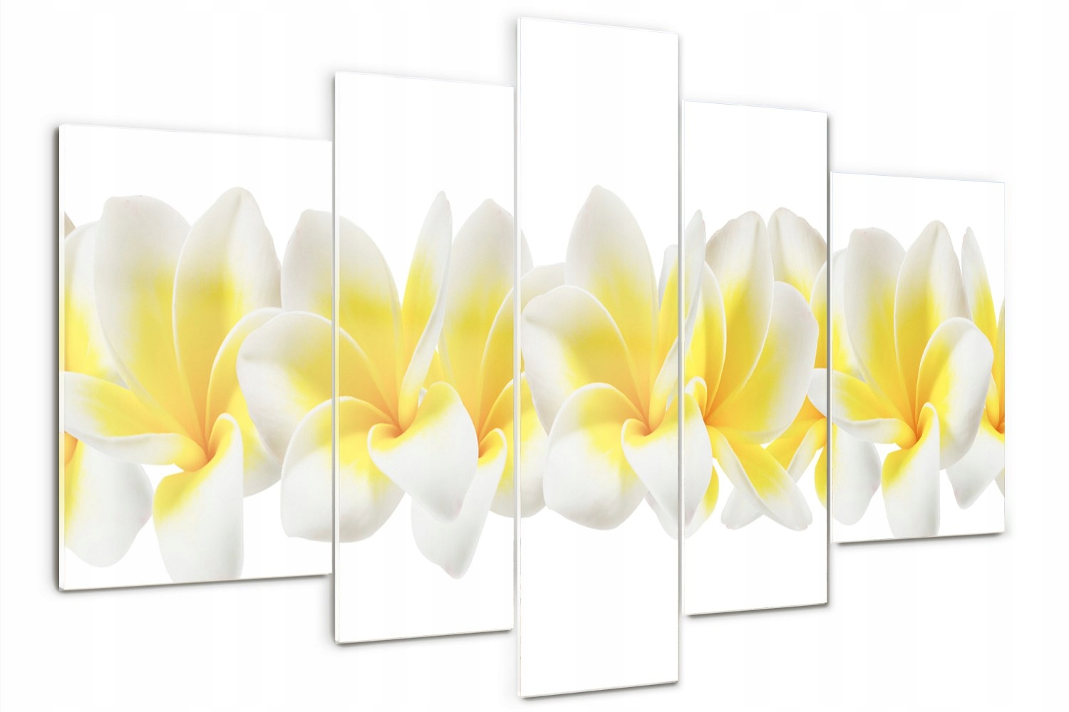 Foto Akrylový triptychový obraz Moderní Plumeria