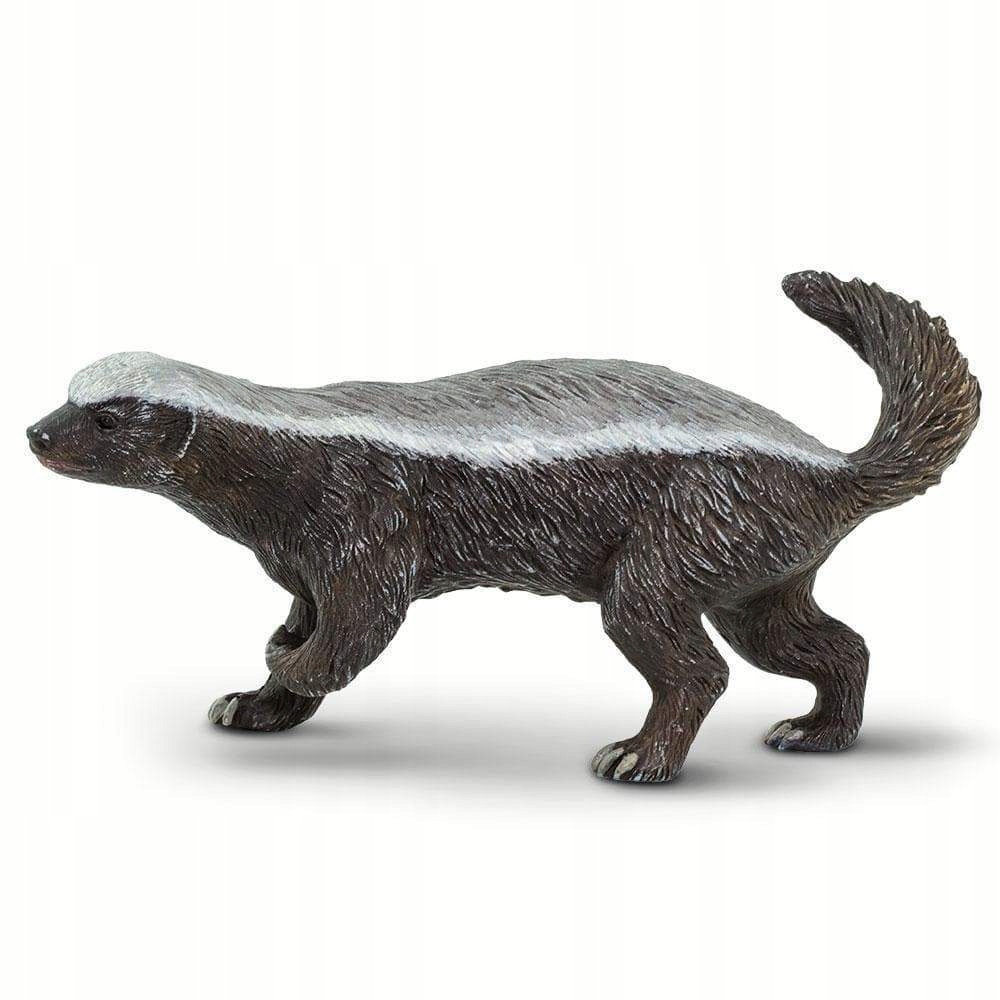

Ratel Miodożerny Honey Badger Safari Ltd. 100272