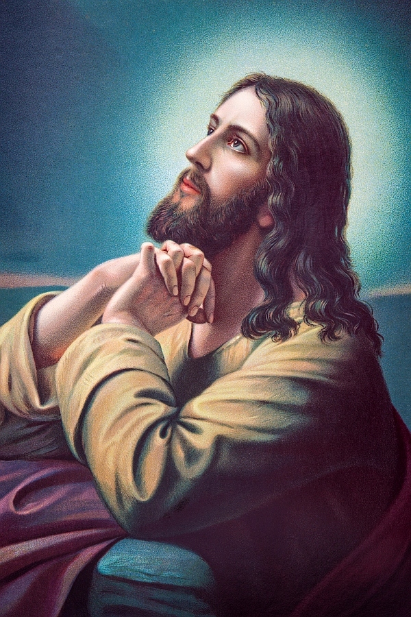 Obraz na plátně Modlitba Ježíše Zahrada 80x120cm