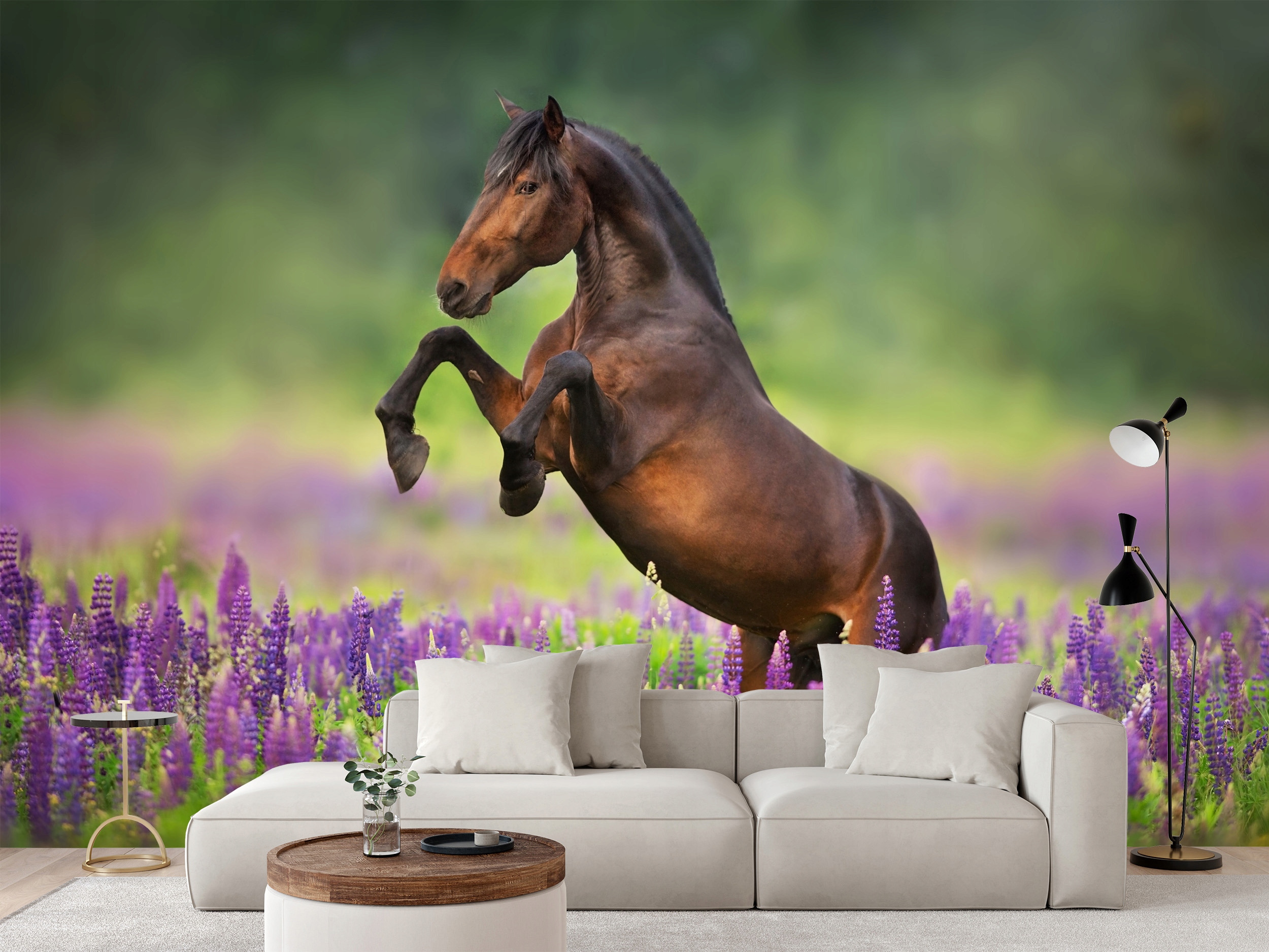 Fototapeta Arabský Kůň Louka Květiny Zvířata Příroda 416 x 254 cm