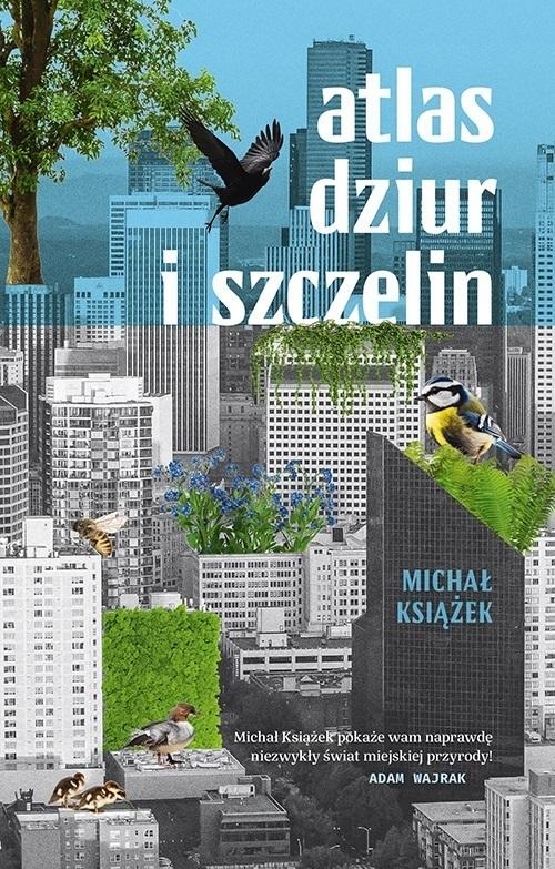 

Atlas Dziur I Szczelin Michał Książek