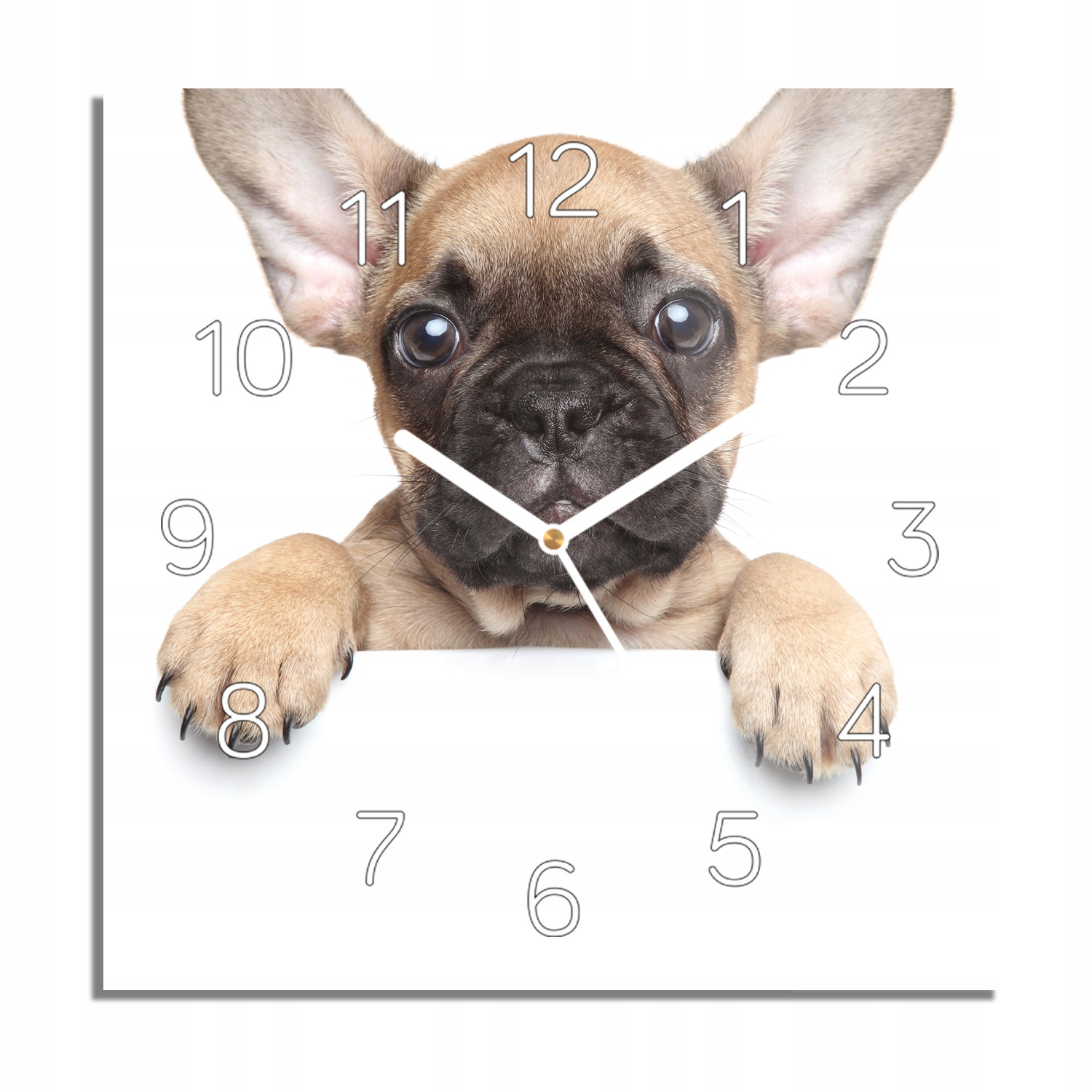 Mops štěně pes foto-hodiny do obývacího pokoje 30x30