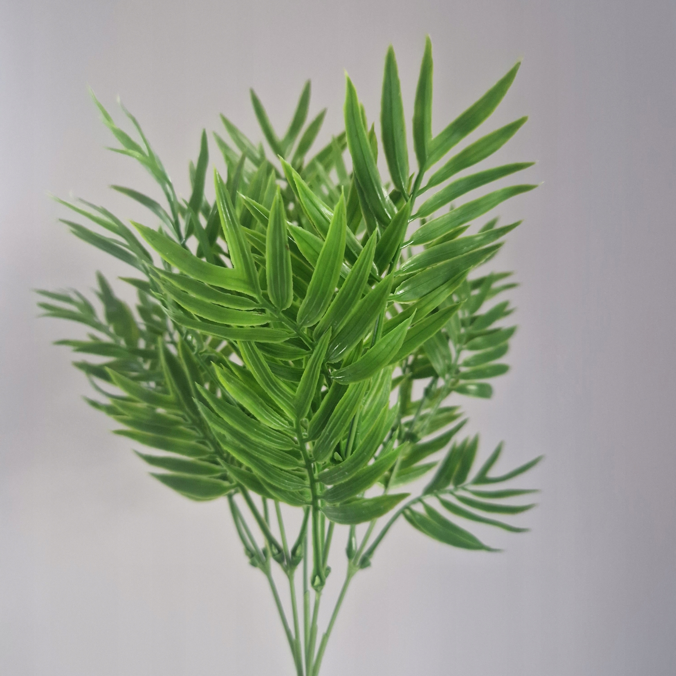 

Sztuczna roślina do terrarium ok 30cm 5 gałązek #3