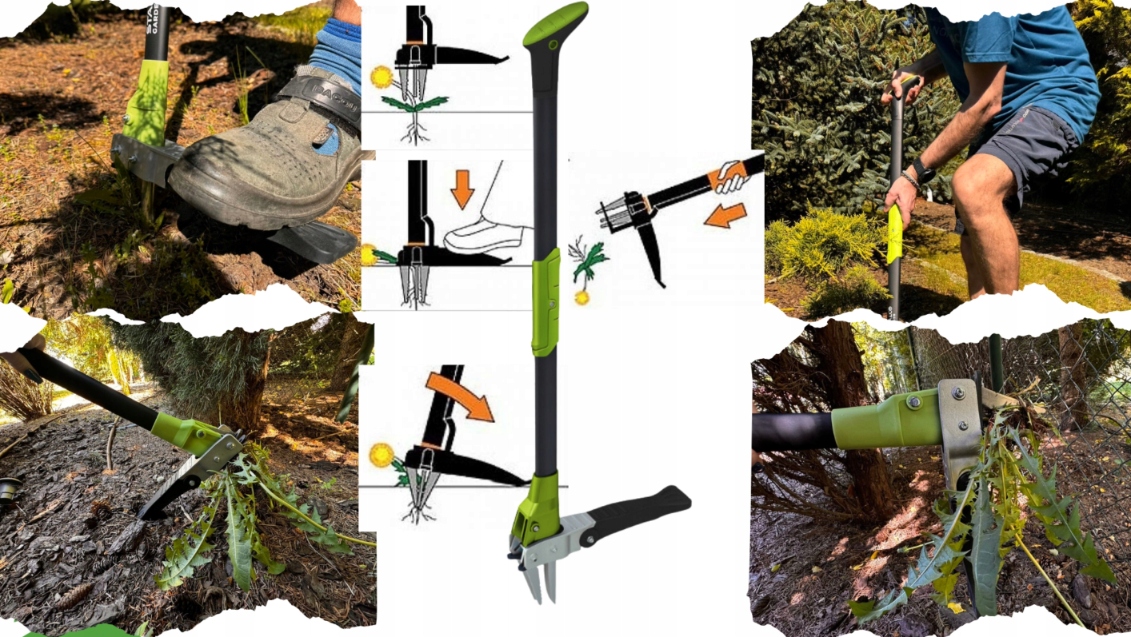 WYRYWACZ DO CHWASTÓW WYCINAK OGRODOWY RĘCZNY MOCNY STALCO Kod producenta WYRYWACZ DO USUWANIA CHWASTÓW MLECZY