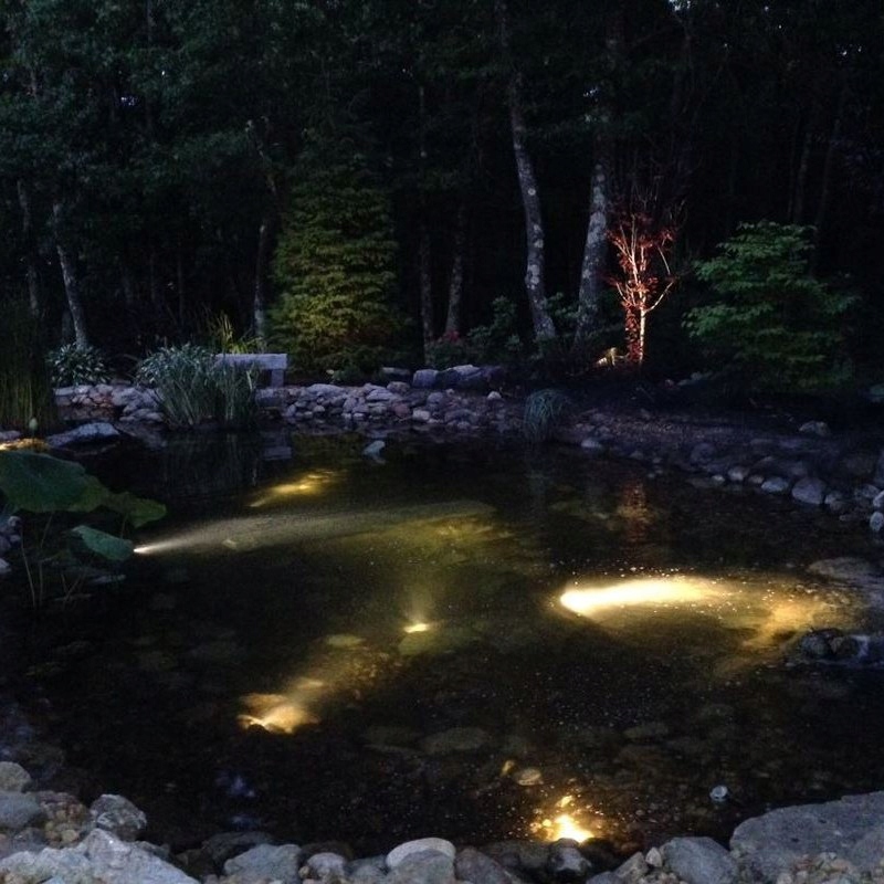 CZARNE WODY PUNKTOWE OŚWIETLENIE AKWARIUM LED Rodzaj reflektor