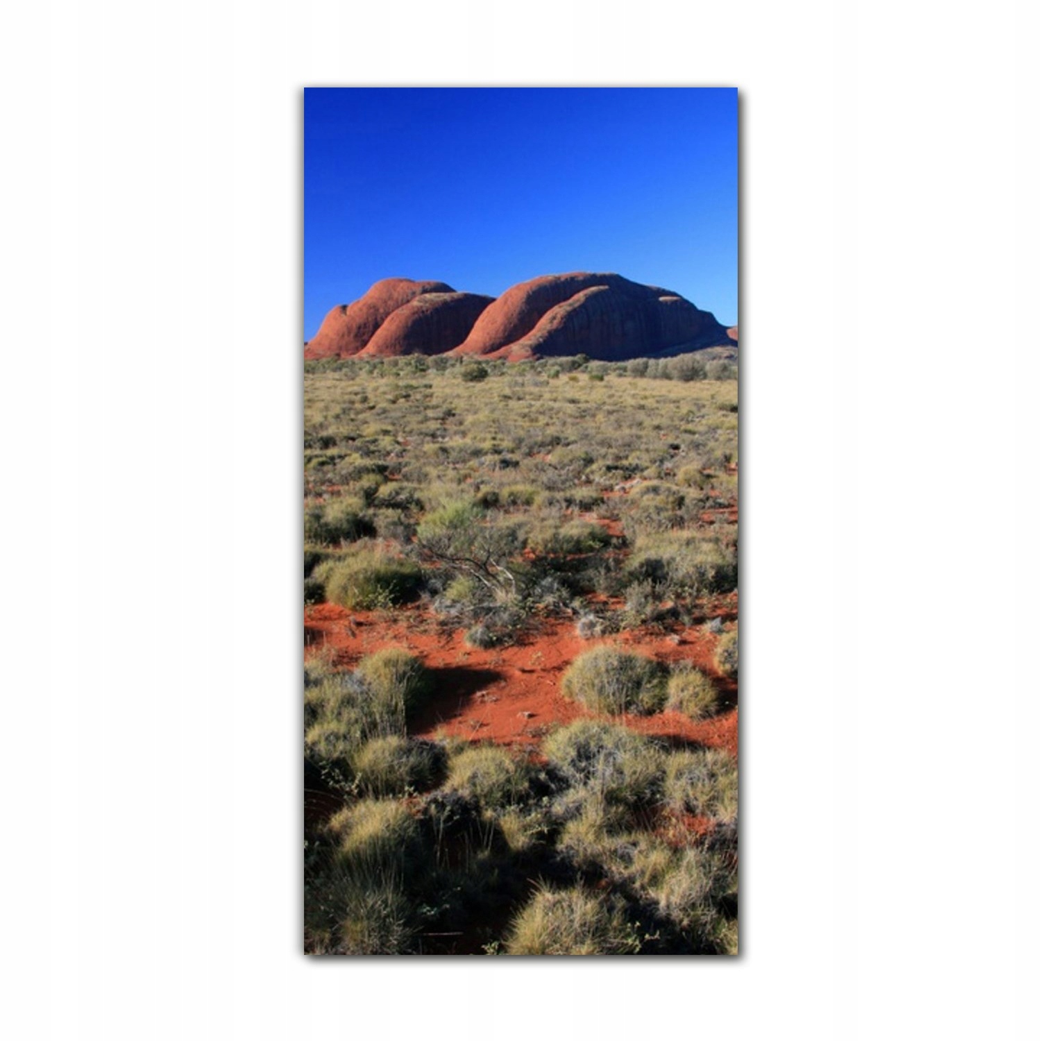 

Foto na szkle do salonu 60x120 Australia pustynia