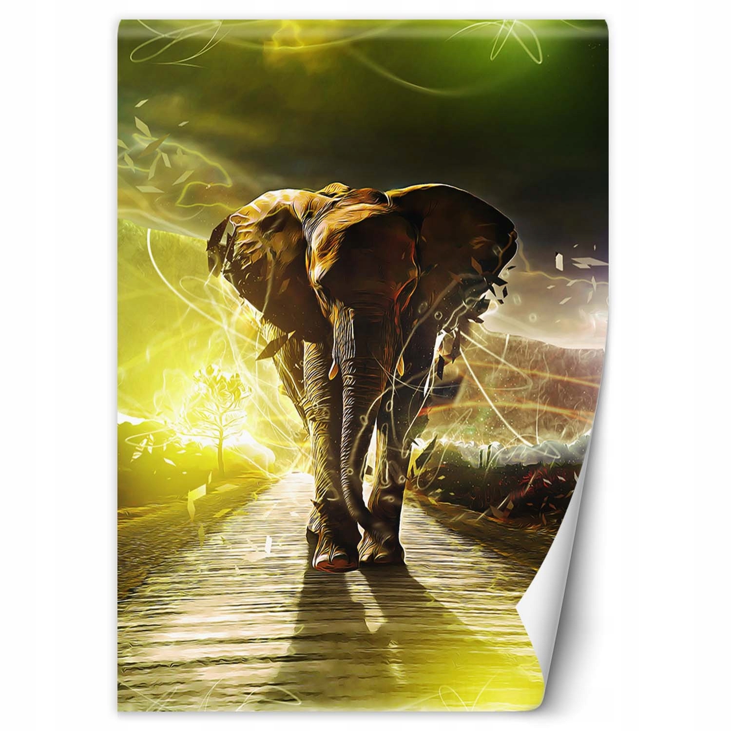 Fototapeta Kouzelný slon 200x280