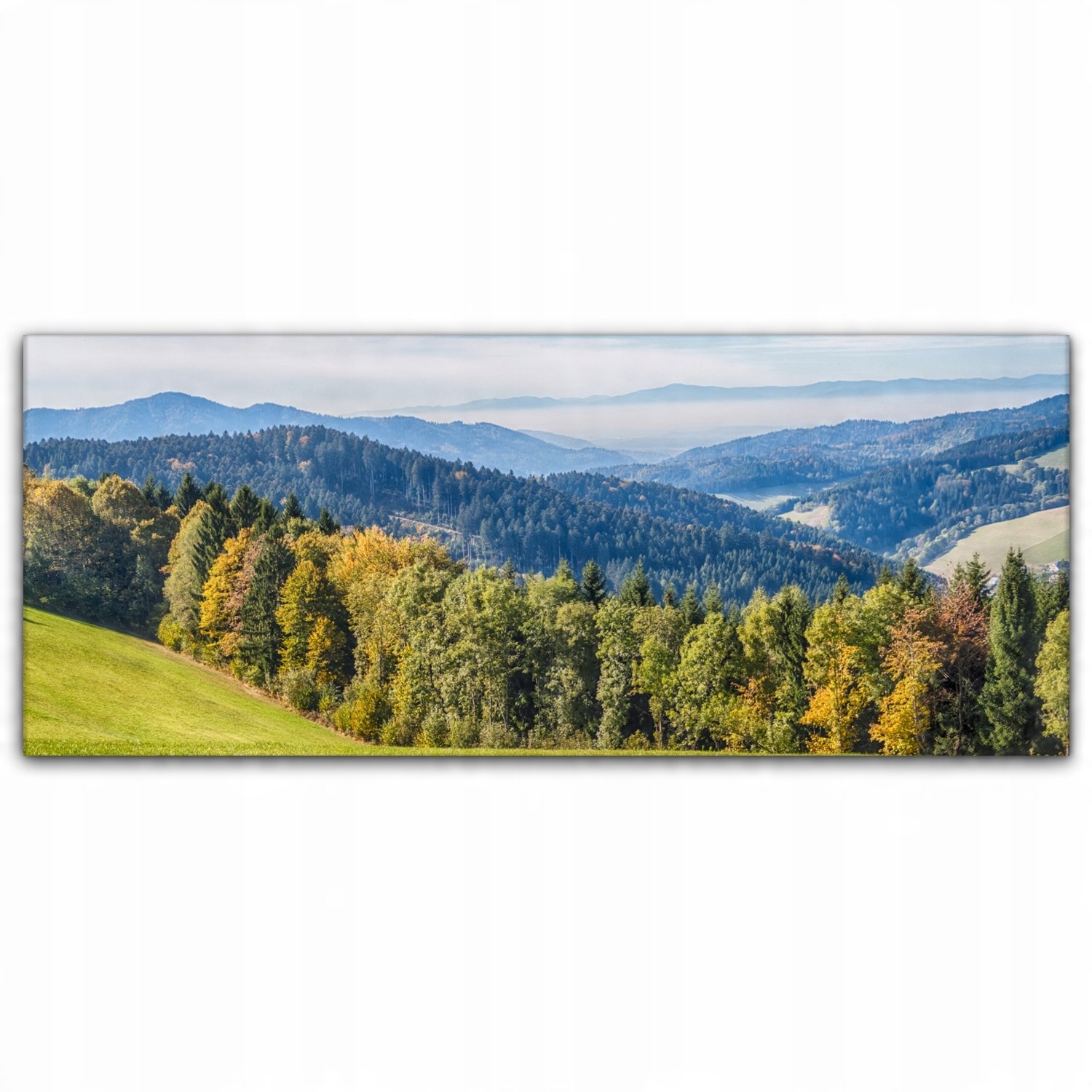 

Obraz na płótnie na ścianę 125x50 Las Góry Natura