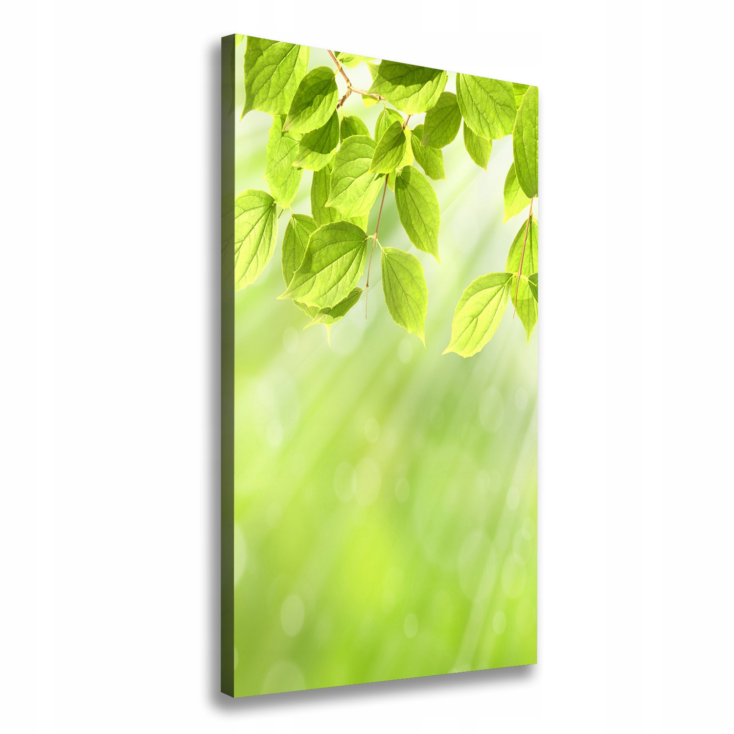 

Foto obraz na płótnie Zielone listki 50x100 cm
