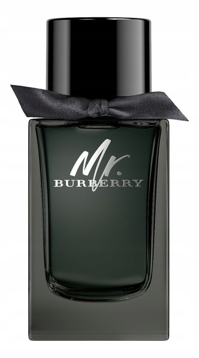 Burberry Mr.Burberry Parfémovaná voda sprej 100 ml