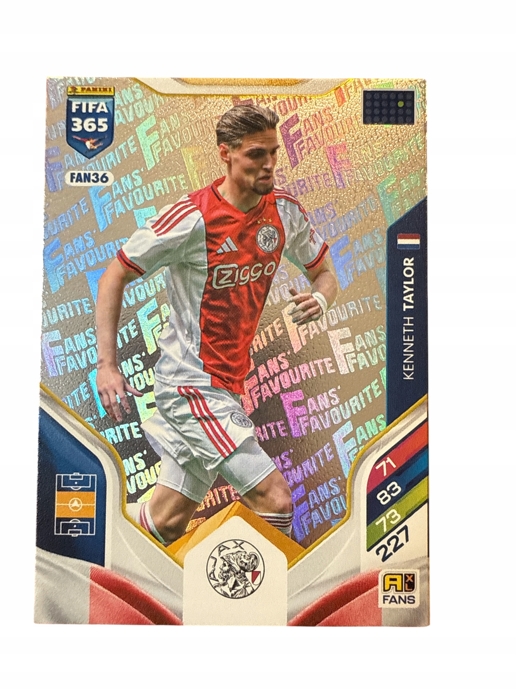 Fifa 365 2026 Adrenalyn XL Panini Fans FAN36 Taylor