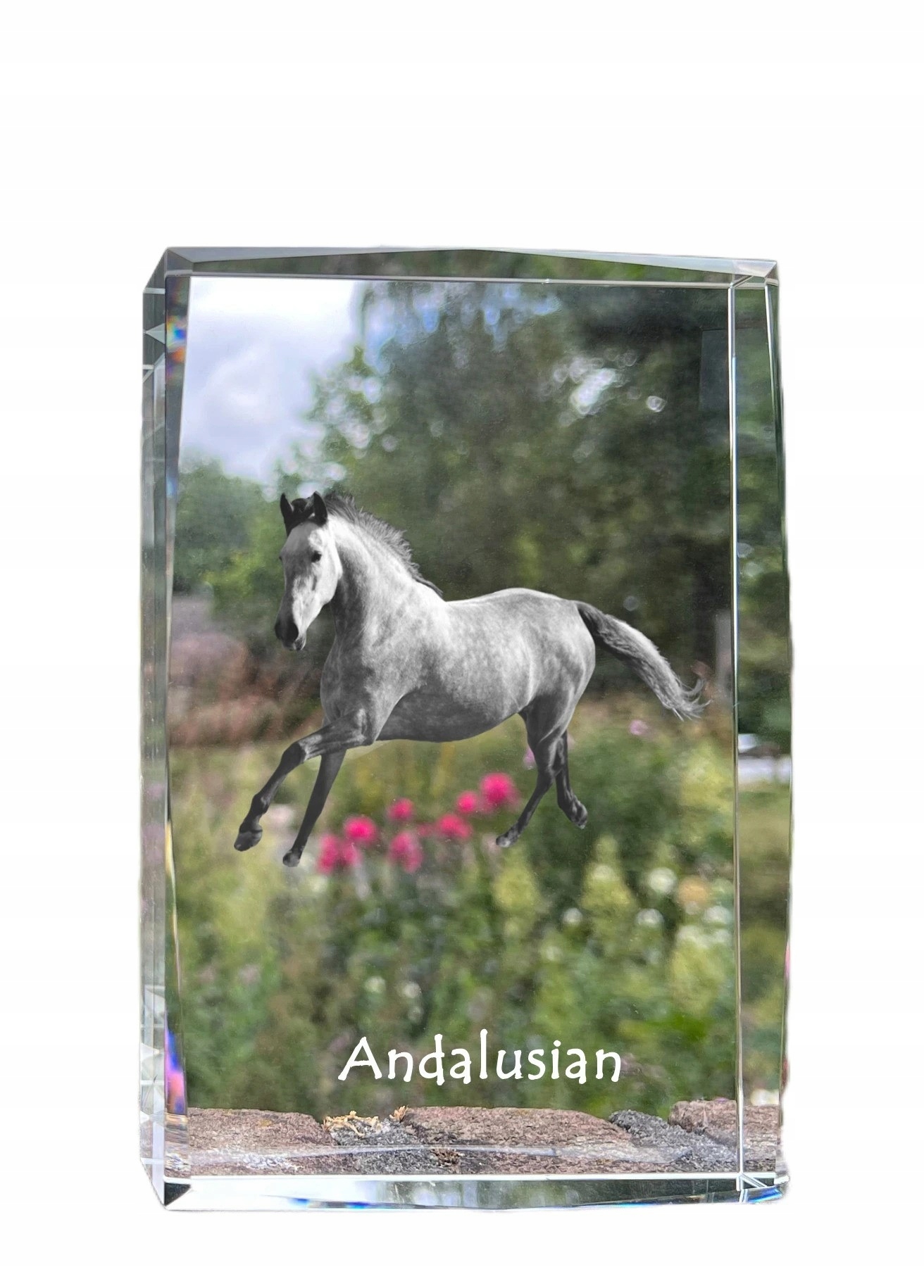 Andalúzsky kôň, fotografia v kryštáli, suvenír, trofej, poďakovanie