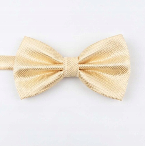 

Piękna muszka Mucha Męska beżowa