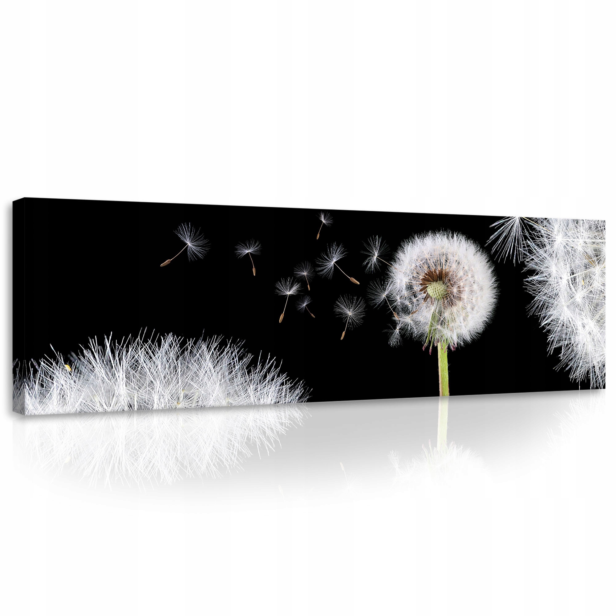

Obraz Kwiaty Dmuchawce Nowoczesny Duży XXL 145x45