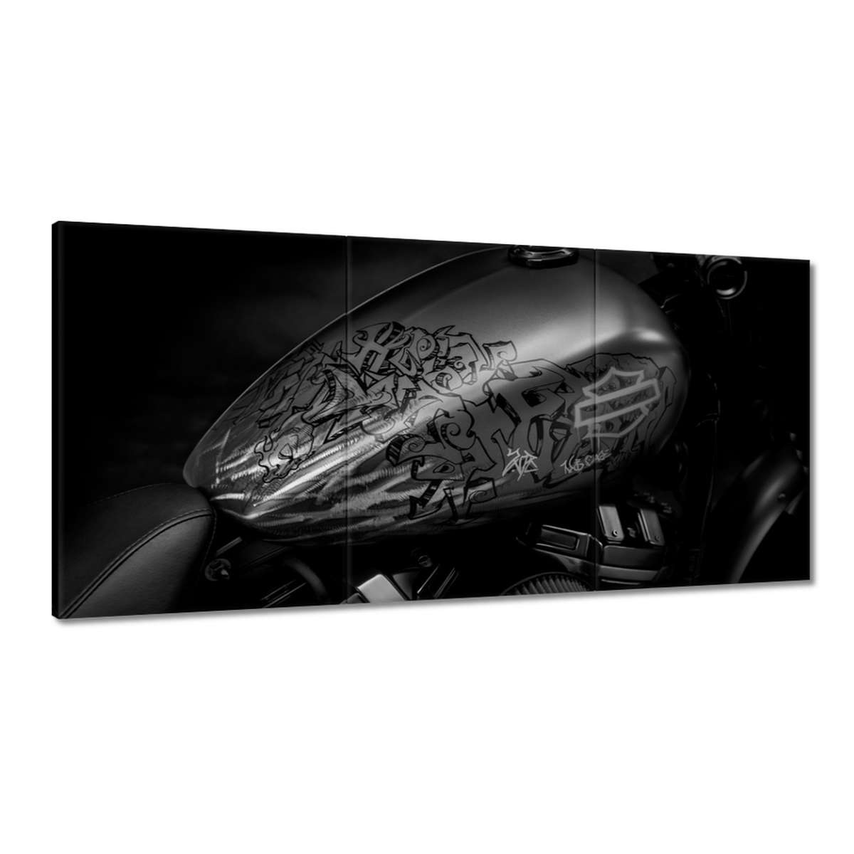 Obrazy 180x90 Harley Davidson Motocykel