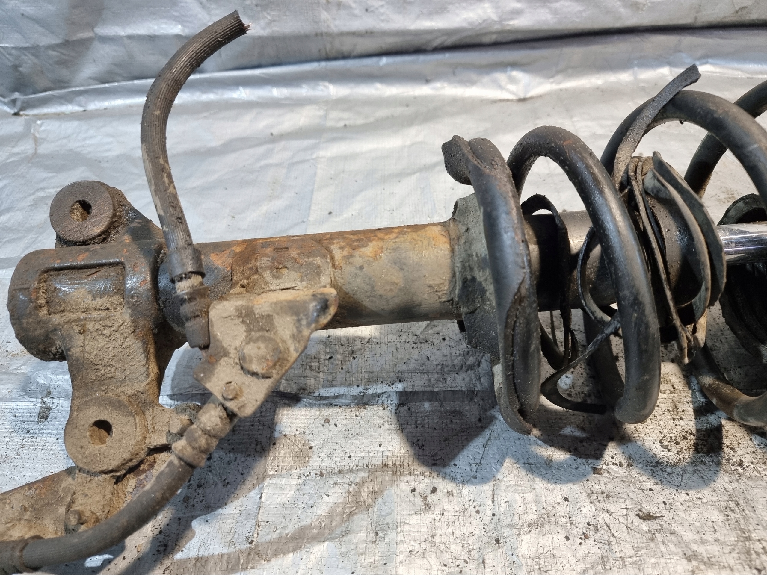 shock absorber McPherson left front NISSAN PRIMERA P12 III 1.8B 04r