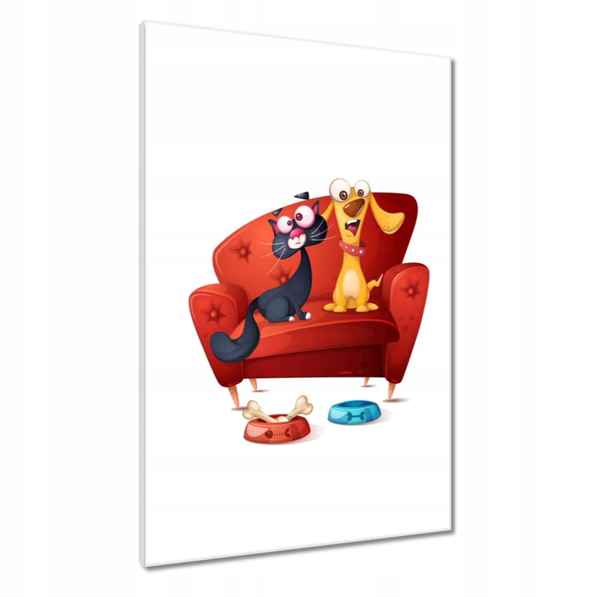 Obrazy 60x90 Kočka Kotě Kočky