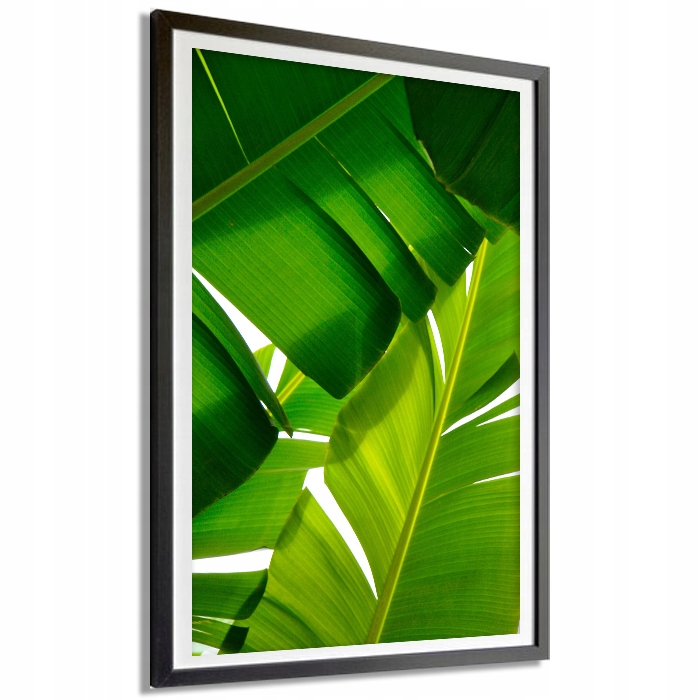 

Plakat Dekoracyjny 30x40cm Duży Nature Leaf