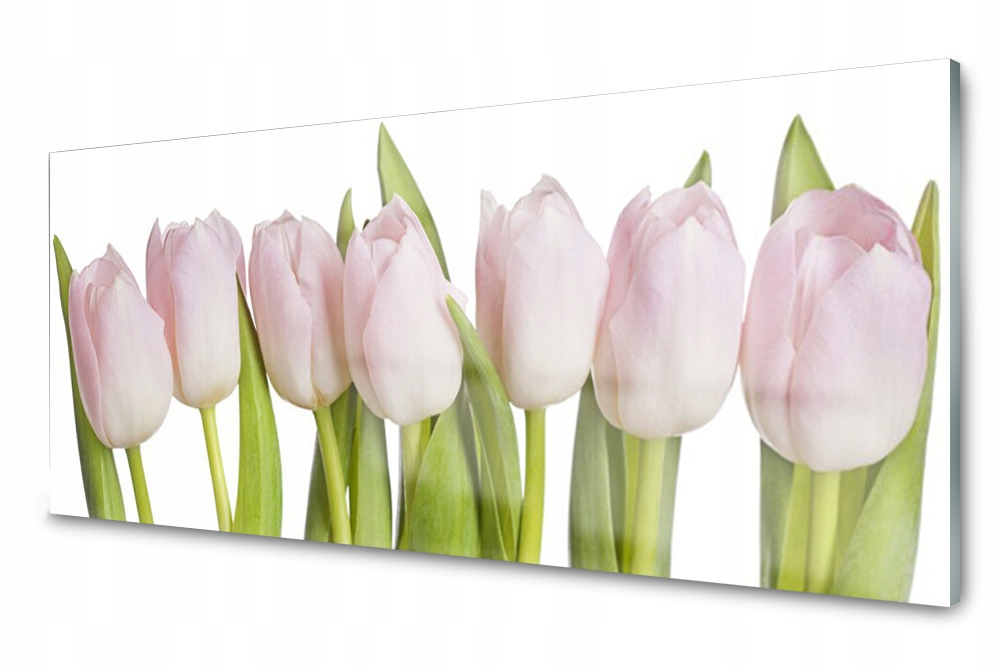 Sklenený panel do kuchyne Tulipány Kvety 125x50
