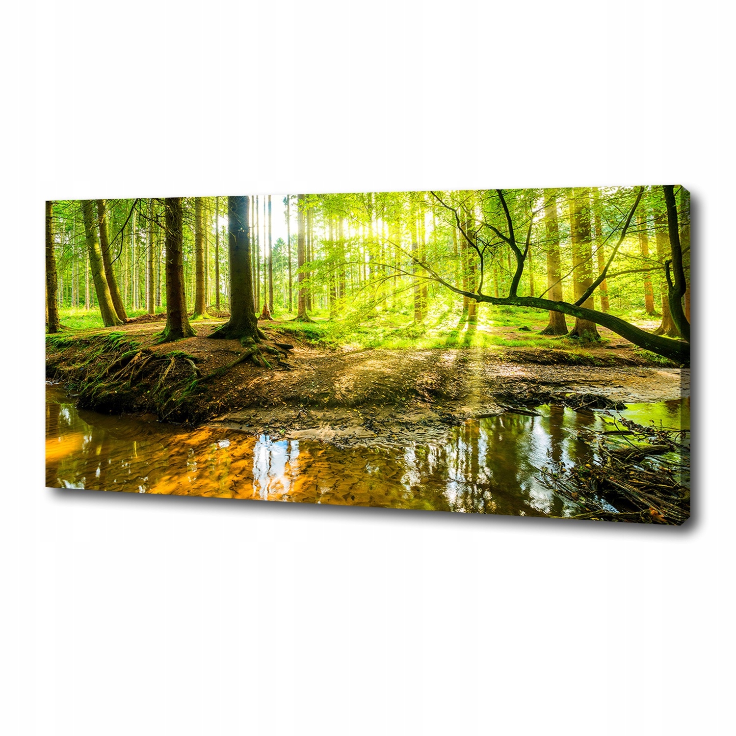 

Foto obraz na płótnie Sadzawka w lesie 125x50 cm