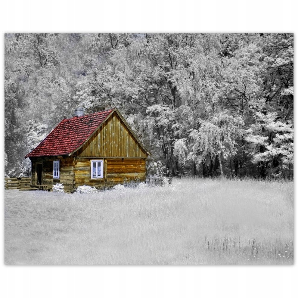 

Plakat 50x40 Drewniany dom Bale
