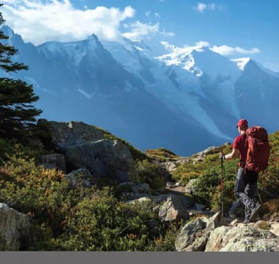 Garmin Topo Mapa topograficzna France v6 Pro