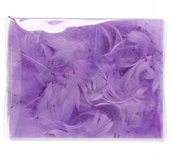 

Piórka fioletowe 300-400 szt pudełko