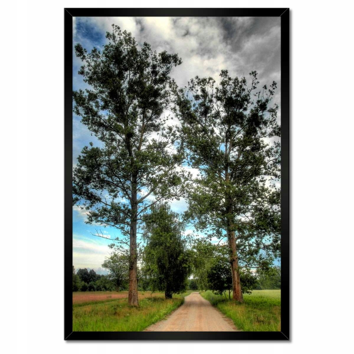 Plakáty v rámu 40x60 Venkovská cesta